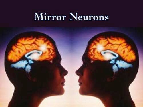 relazione neuroni specchio